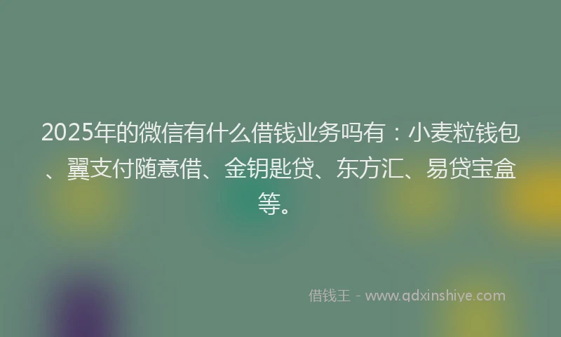 2025年的微信有什么借钱业务吗有：小麦粒钱包、翼支付随意借、金钥匙贷、东方汇、易贷宝盒等。