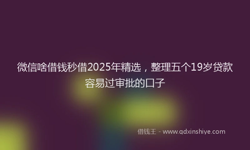 微信啥借钱秒借2025年精选，整理五个19岁贷款容易过审批的口子