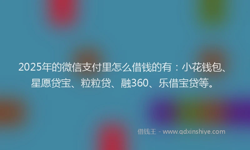 2025年的微信支付里怎么借钱的有：小花钱包、星愿贷宝、粒粒贷、融360、乐借宝贷等。