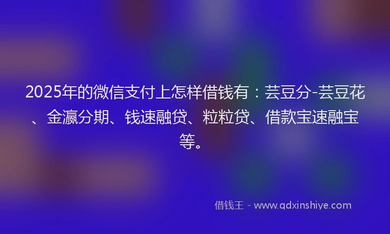 2025年的微信支付上怎样借钱有：芸豆分-芸豆花、金瀛分期、钱速融贷、粒粒贷、借款宝速融宝等。