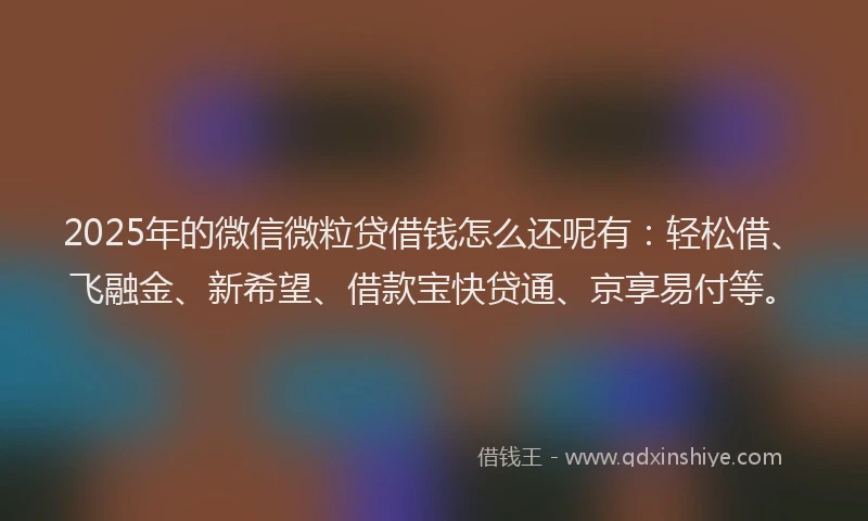 2025年的微信微粒贷借钱怎么还呢有：轻松借、飞融金、新希望、借款宝快贷通、京享易付等。