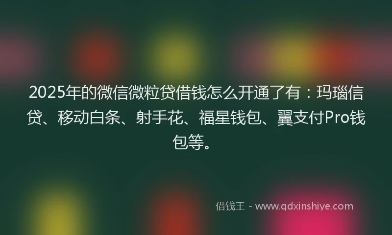 2025年的微信微粒贷借钱怎么开通了有：玛瑙信贷、移动白条、射手花、福星钱包、翼支付Pro钱包等。