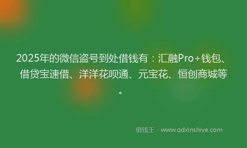 2025年的微信盗号到处借钱有：汇融Pro+钱包、借贷宝速借、洋洋花呗通、元宝花、恒创商城等。