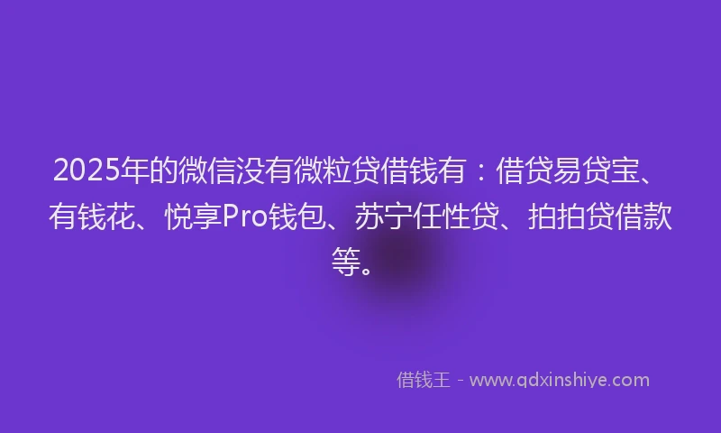 2025年的微信没有微粒贷借钱有：借贷易贷宝、有钱花、悦享Pro钱包、苏宁任性贷、拍拍贷借款等。