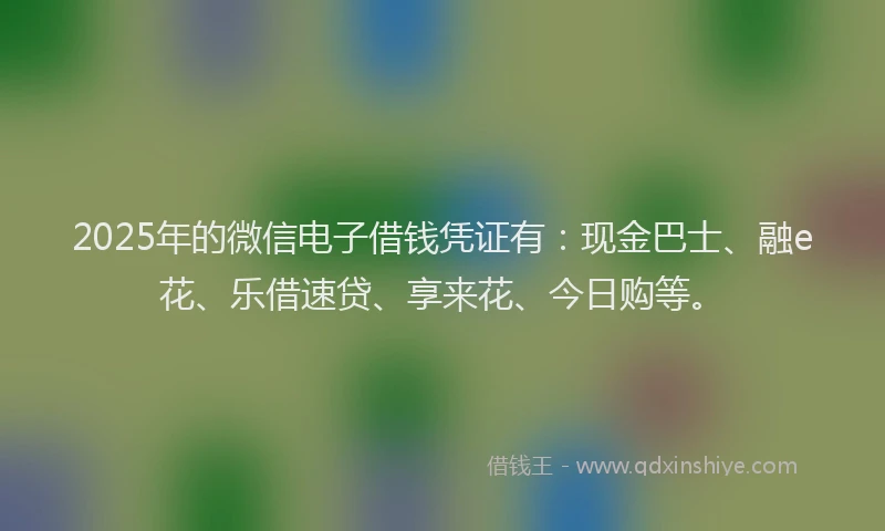 2025年的微信电子借钱凭证有：现金巴士、融e花、乐借速贷、享来花、今日购等。