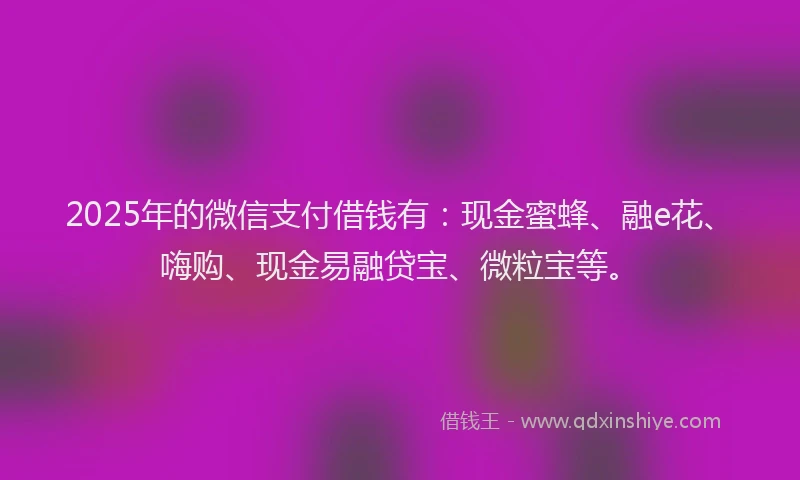 2025年的微信支付借钱有：现金蜜蜂、融e花、嗨购、现金易融贷宝、微粒宝等。