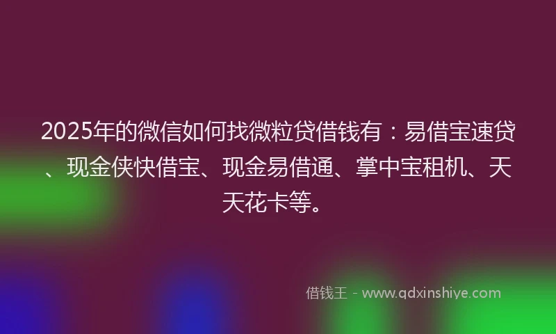 2025年的微信如何找微粒贷借钱有：易借宝速贷、现金侠快借宝、现金易借通、掌中宝租机、天天花卡等。