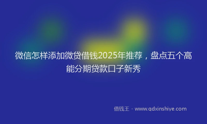 微信怎样添加微贷借钱2025年推荐，盘点五个高能分期贷款口子新秀
