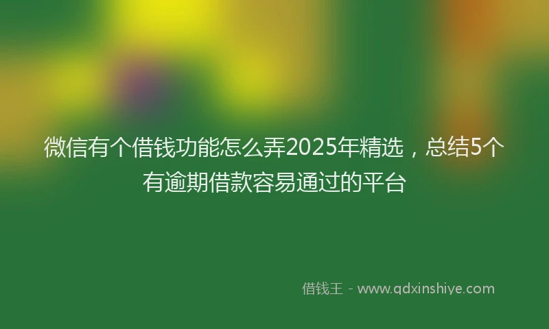 微信有个借钱功能怎么弄2025年精选，总结5个有逾期借款容易通过的平台