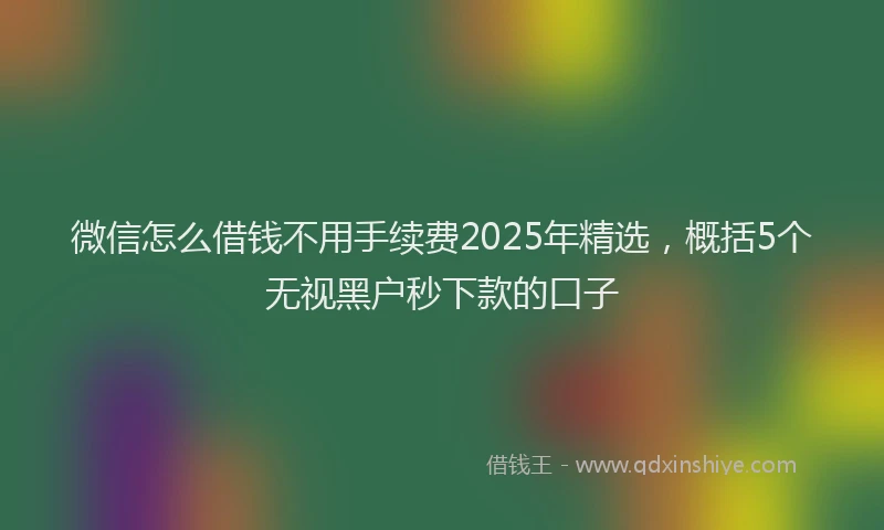 微信怎么借钱不用手续费2025年精选，概括5个无视黑户秒下款的口子