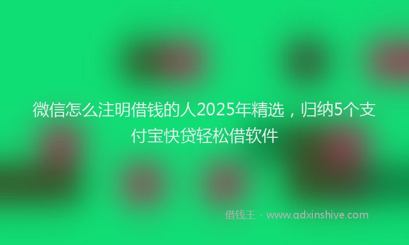 微信怎么注明借钱的人2025年精选，归纳5个支付宝快贷轻松借软件