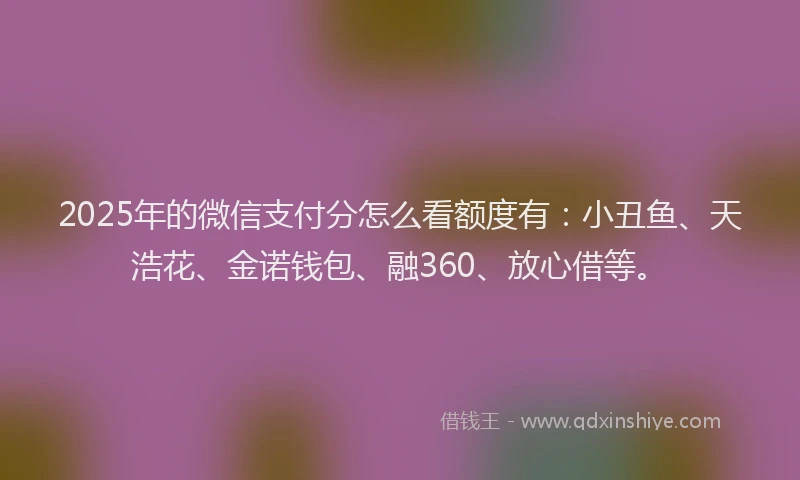 2025年的微信支付分怎么看额度有：小丑鱼、天浩花、金诺钱包、融360、放心借等。