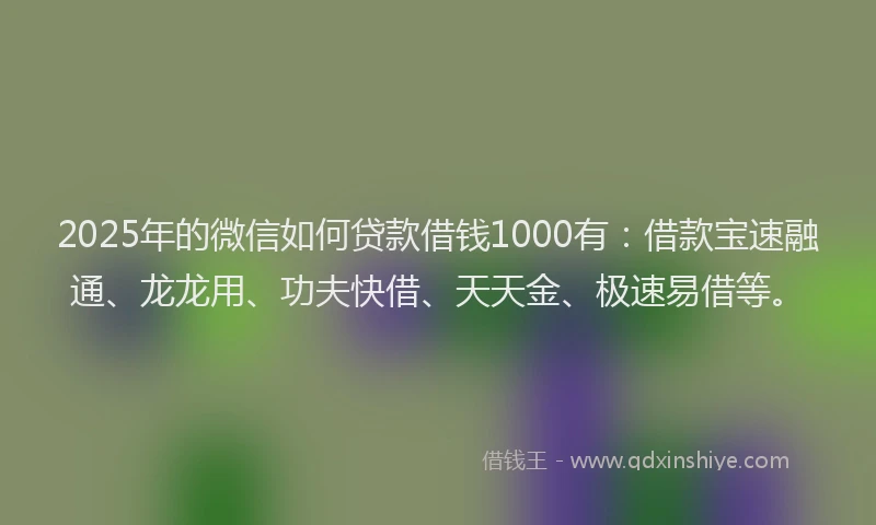 2025年的微信如何贷款借钱1000有：借款宝速融通、龙龙用、功夫快借、天天金、极速易借等。