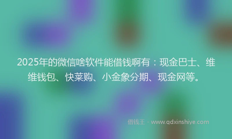 2025年的微信啥软件能借钱啊有：现金巴士、维维钱包、快莱购、小金象分期、现金网等。