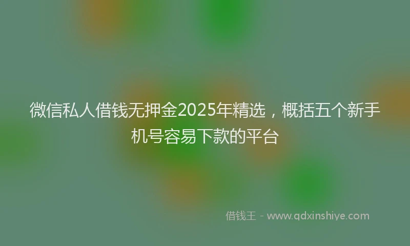 微信私人借钱无押金2025年精选，概括五个新手机号容易下款的平台