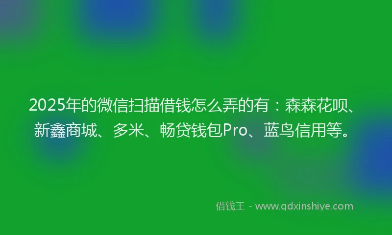 2025年的微信扫描借钱怎么弄的有：森森花呗、新鑫商城、多米、畅贷钱包Pro、蓝鸟信用等。
