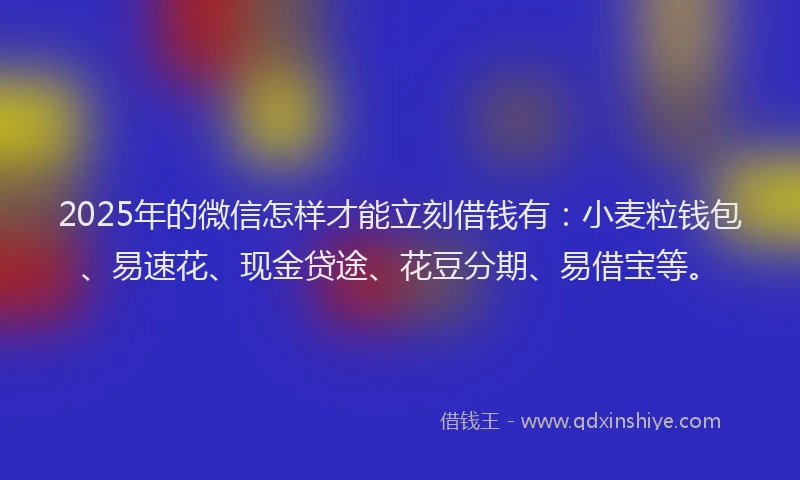 2025年的微信怎样才能立刻借钱有：小麦粒钱包、易速花、现金贷途、花豆分期、易借宝等。