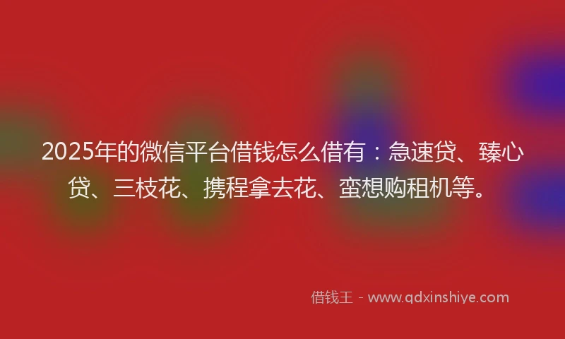 2025年的微信平台借钱怎么借有：急速贷、臻心贷、三枝花、携程拿去花、蛮想购租机等。