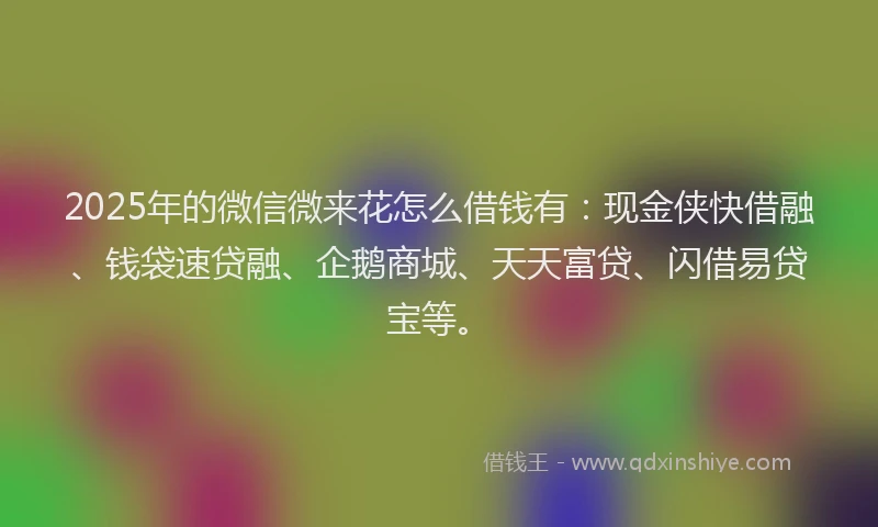 2025年的微信微来花怎么借钱有：现金侠快借融、钱袋速贷融、企鹅商城、天天富贷、闪借易贷宝等。