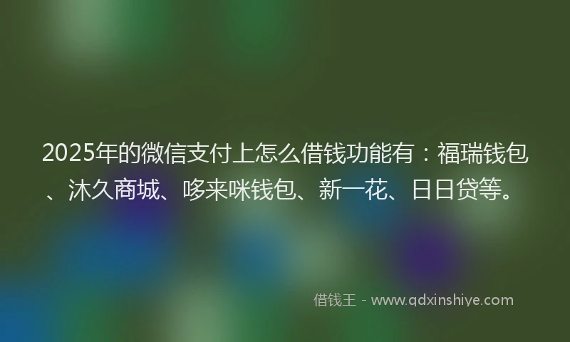 2025年的微信支付上怎么借钱功能有：福瑞钱包、沐久商城、哆来咪钱包、新一花、日日贷等。