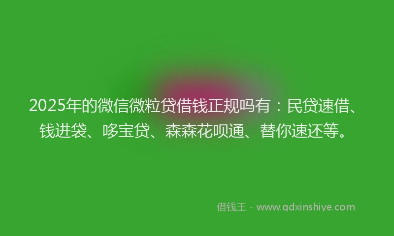 2025年的微信微粒贷借钱正规吗有：民贷速借、钱进袋、哆宝贷、森森花呗通、替你速还等。