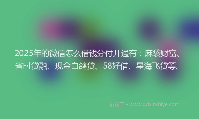 2025年的微信怎么借钱分付开通有:麻袋财富、省时贷融、现金白鸽贷、58好借、星海飞贷等。