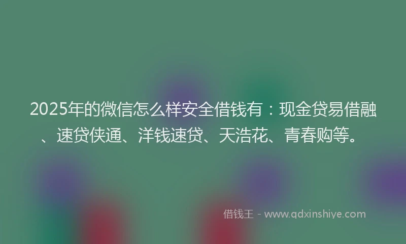 2025年的微信怎么样安全借钱有：现金贷易借融、速贷侠通、洋钱速贷、天浩花、青春购等。
