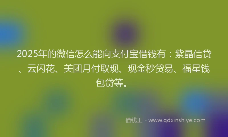 2025年的微信怎么能向支付宝借钱有：紫晶信贷、云闪花、美团月付取现、现金秒贷易、福星钱包贷等。