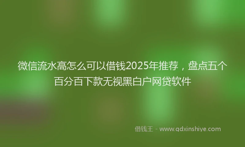 微信流水高怎么可以借钱2025年推荐，盘点五个百分百下款无视黑白户网贷软件