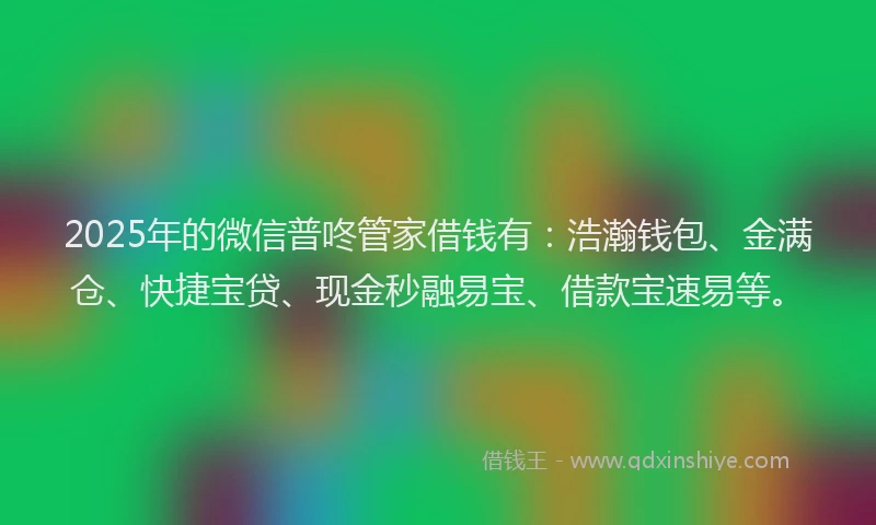 2025年的微信普咚管家借钱有：浩瀚钱包、金满仓、快捷宝贷、现金秒融易宝、借款宝速易等。