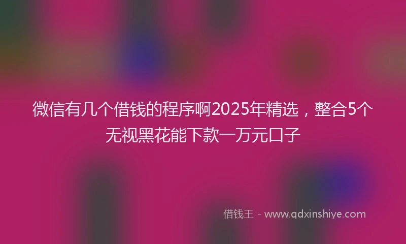 微信有几个借钱的程序啊2025年精选，整合5个无视黑花能下款一万元口子