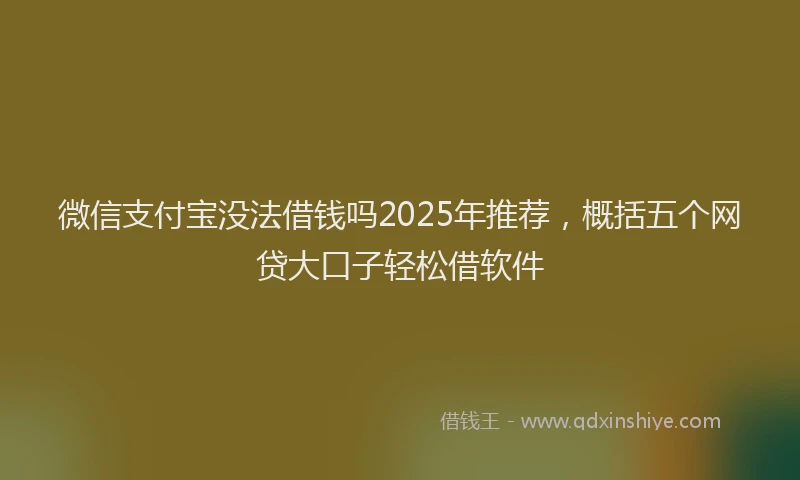 微信支付宝没法借钱吗2025年推荐，概括五个网贷大口子轻松借软件
