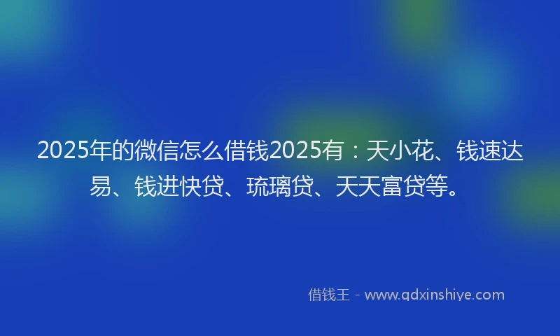 2025年的微信怎么借钱2025有：天小花、钱速达易、钱进快贷、琉璃贷、天天富贷等。