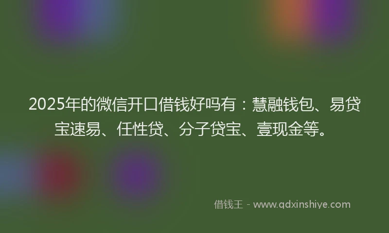 2025年的微信开口借钱好吗有：慧融钱包、易贷宝速易、任性贷、分子贷宝、壹现金等。