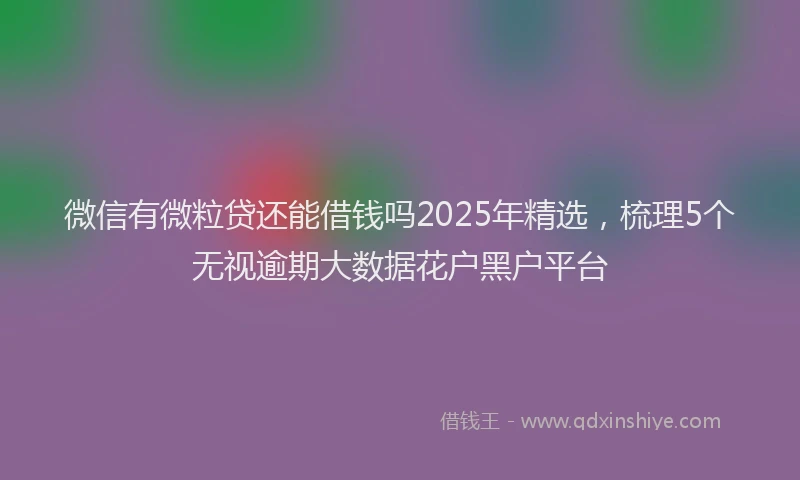 微信有微粒贷还能借钱吗2025年精选，梳理5个无视逾期大数据花户黑户平台