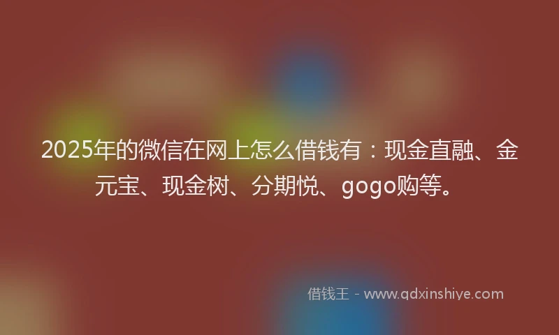 2025年的微信在网上怎么借钱有：现金直融、金元宝、现金树、分期悦、gogo购等。
