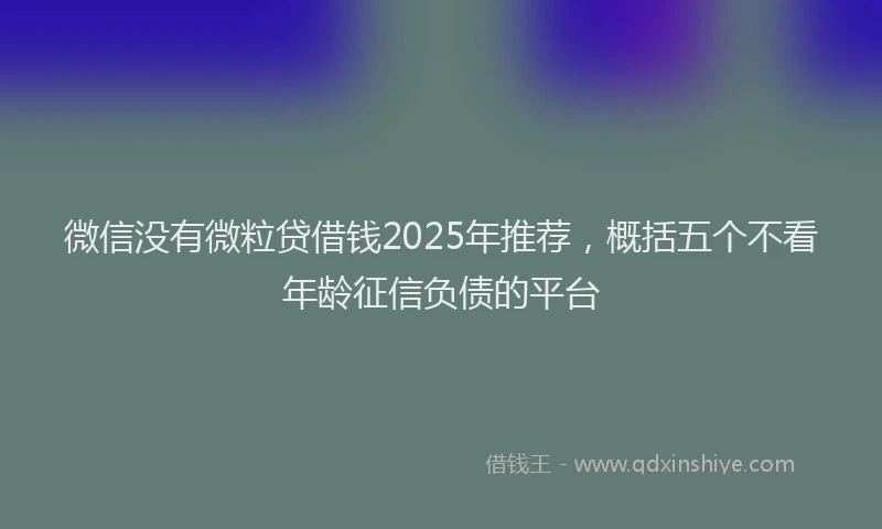微信没有微粒贷借钱2025年推荐，概括五个不看年龄征信负债的平台