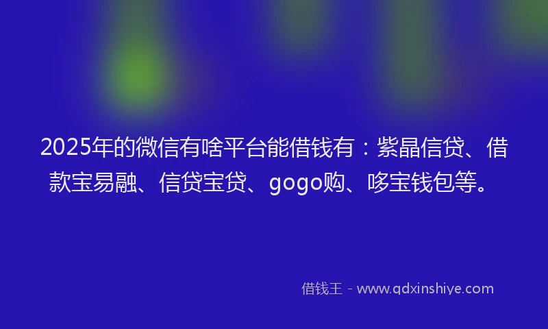 2025年的微信有啥平台能借钱有：紫晶信贷、借款宝易融、信贷宝贷、gogo购、哆宝钱包等。