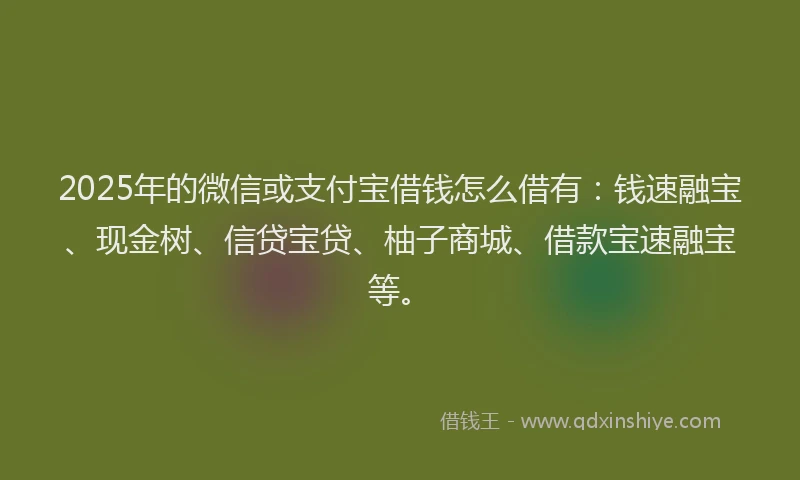 2025年的微信或支付宝借钱怎么借有：钱速融宝、现金树、信贷宝贷、柚子商城、借款宝速融宝等。