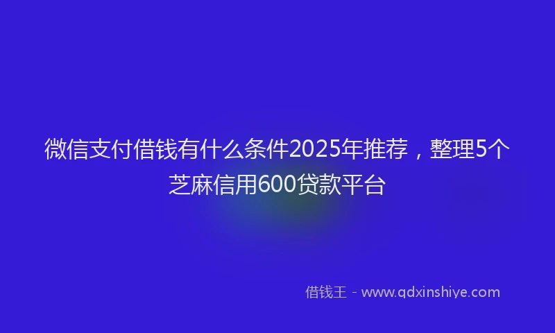 微信支付借钱有什么条件2025年推荐，整理5个芝麻信用600贷款平台