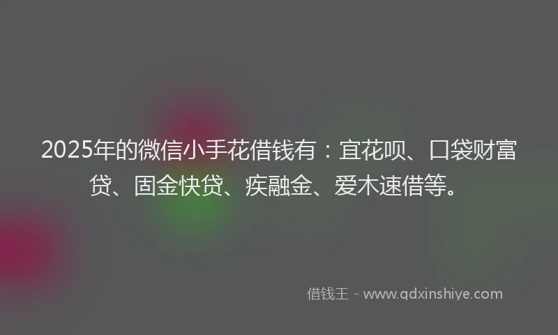 2025年的微信小手花借钱有：宜花呗、口袋财富贷、固金快贷、疾融金、爱木速借等。