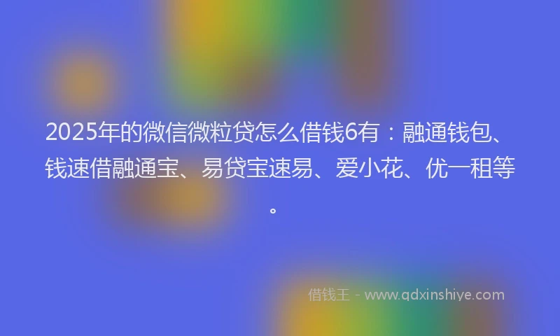 2025年的微信微粒贷怎么借钱6有：融通钱包、钱速借融通宝、易贷宝速易、爱小花、优一租等。