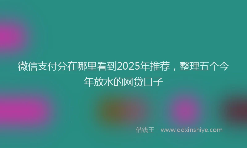 微信支付分在哪里看到2025年推荐，整理五个今年放水的网贷口子