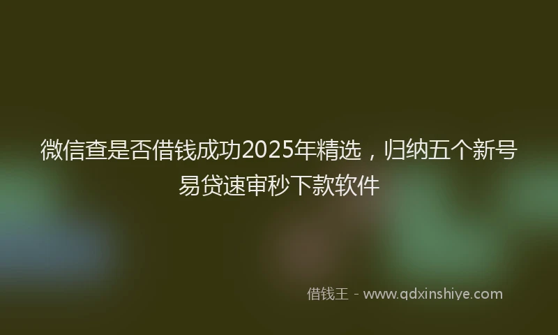 微信查是否借钱成功2025年精选，归纳五个新号易贷速审秒下款软件