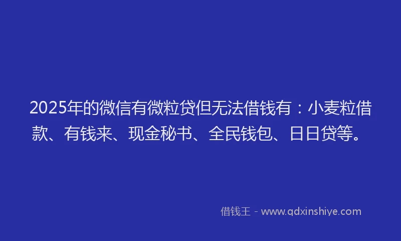 2025年的微信有微粒贷但无法借钱有：小麦粒借款、有钱来、现金秘书、全民钱包、日日贷等。