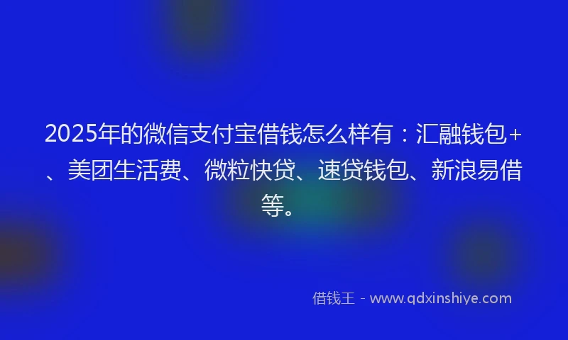 2025年的微信支付宝借钱怎么样有：汇融钱包+、美团生活费、微粒快贷、速贷钱包、新浪易借等。