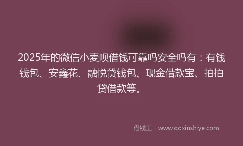 2025年的微信小麦呗借钱可靠吗安全吗有：有钱钱包、安鑫花、融悦贷钱包、现金借款宝、拍拍贷借款等。
