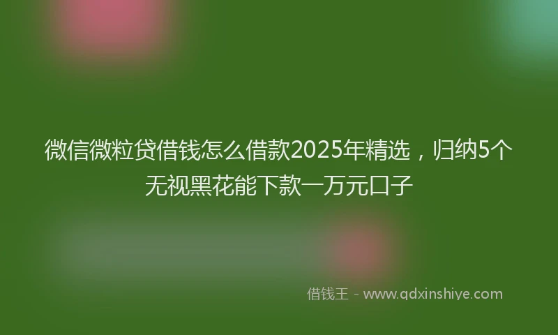 微信微粒贷借钱怎么借款2025年精选，归纳5个无视黑花能下款一万元口子