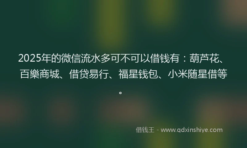 2025年的微信流水多可不可以借钱有：葫芦花、百樂商城、借贷易行、福星钱包、小米随星借等。