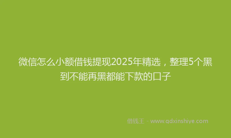 微信怎么小额借钱提现2025年精选，整理5个黑到不能再黑都能下款的口子